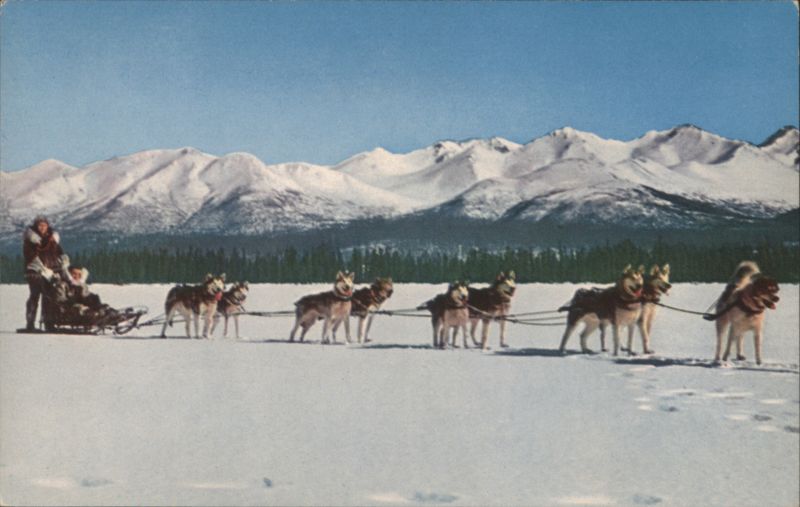 Husky Dog Team in Northern Alaska Howard C. Robinson