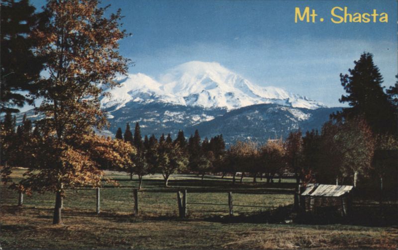 Mt. Shasta Snow-Capped Peak and Forest Landscape Mount Shasta California