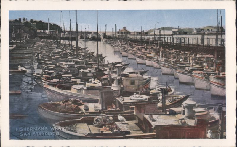 Fisherman's Wharf Harbor and Fishing Fleet San Francisco California