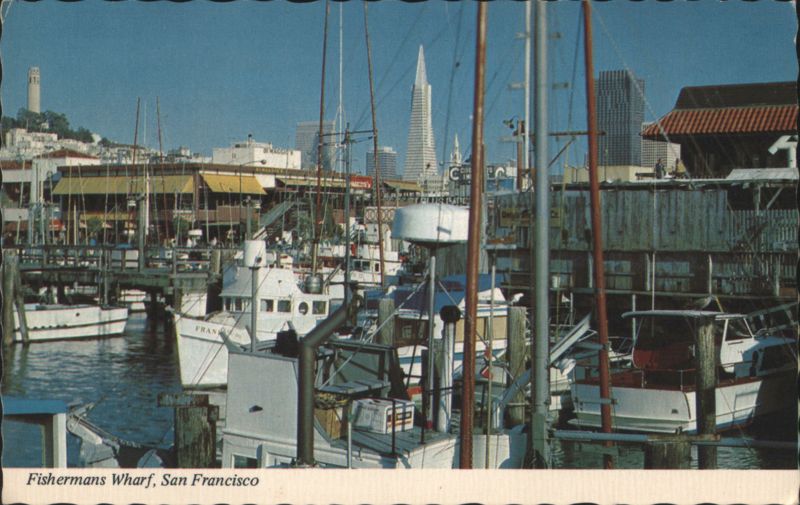 Fisherman's Wharf and Transamerica Pyramid Skyline San Francisco California