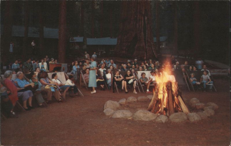 Evening Campfire Program under Giant Sequoia Trees Sequoia and Kings Canyon National Parks California
