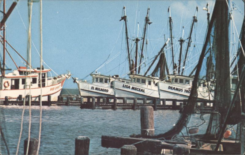 Typical Shrimp Boat Fleet, Gulf Coast Texas