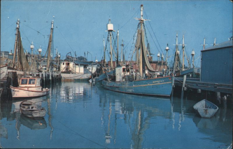 Fishing Boats in Port featuring the Barbara C Gloucester Massachusetts