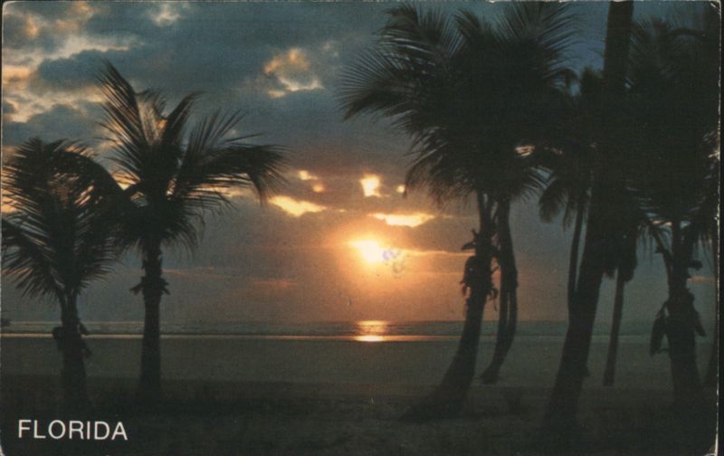 Golden Sunrise Framed by Palm Trees, South Florida Coast