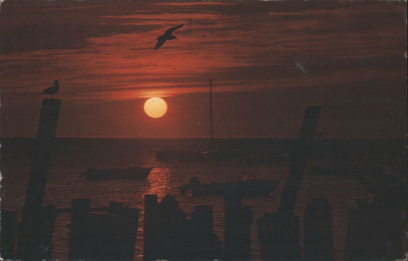 Sunset over Cape Cod with Boats and Seagull Hyannis Port Massachusetts
