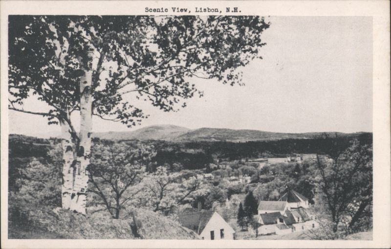 Scenic View of Town and Mountains with Birch Tree Lisbon New Hampshire