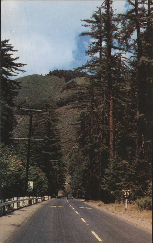 Highway 1 through Santa Lucia Mountains and Redwoods Big Sur California