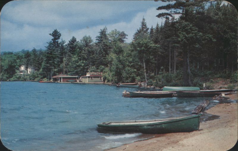 Shoreline of Limekiln Lake with Cottages and Boats Inlet New York