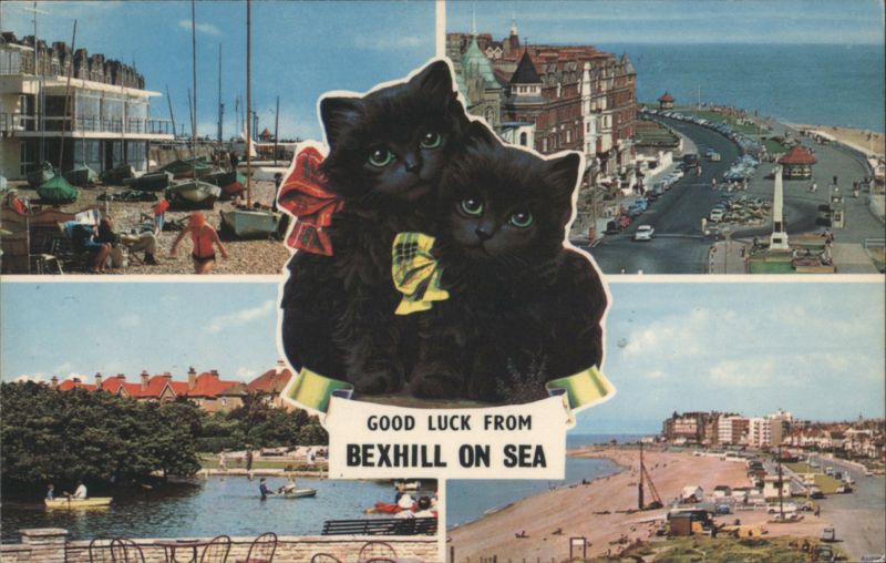 Black Kittens & Multi-Views of Bexhill-on-Sea United Kingdom