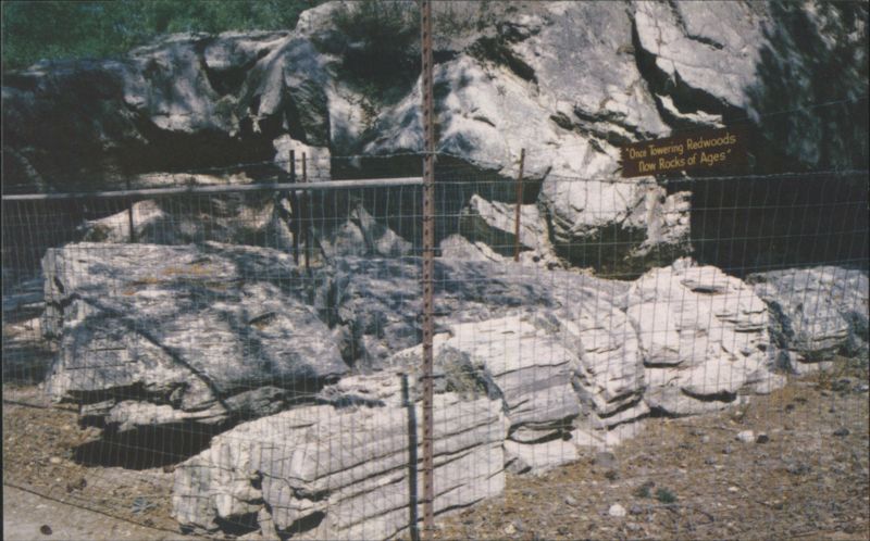 Rocks of Ages Petrified Redwood Logs Petrified Forest National Park California