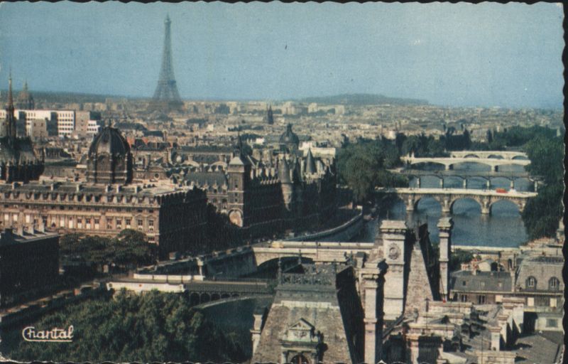 Panorama of Paris with Eiffel Tower and Seine Bridges France