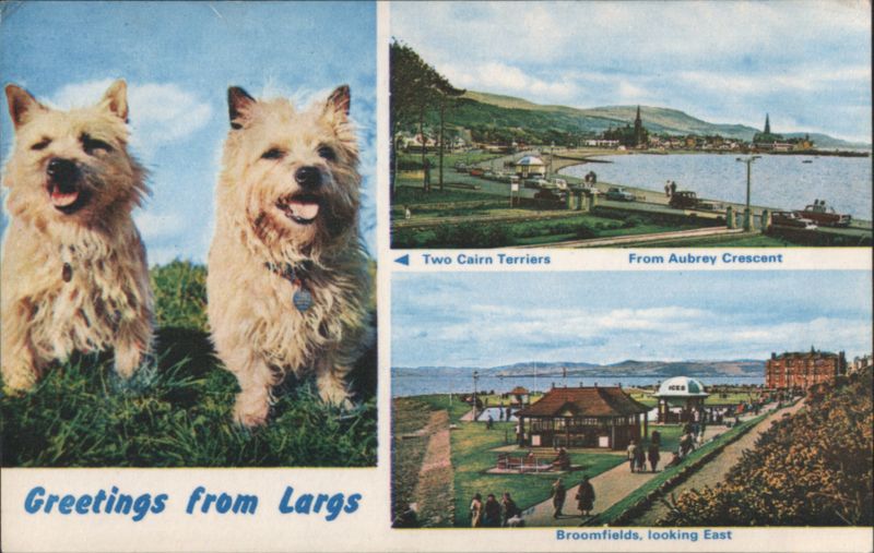 Two Cairn Terriers, Aubrey Crescent & Broomfields Largs Scotland