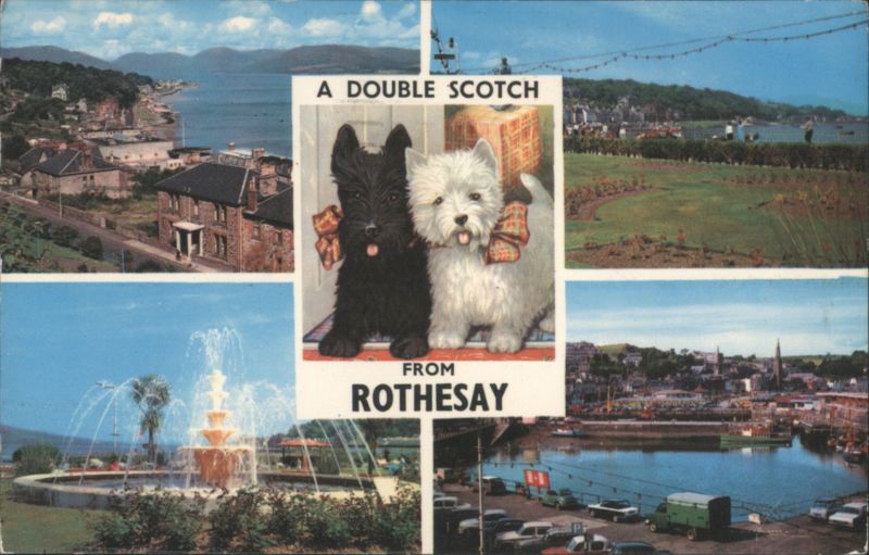 A Double Scotch from Rothesay Multi-View with Terriers Scotland