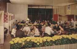 Western Dining at the Nut Tree Interior Postcard