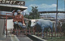 Paul Bunyan and Babe the Blue Ox at Kiddieland Postcard