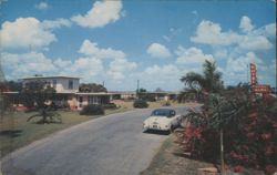 Royal Palms Motel with Classic Car and Palm Trees Postcard