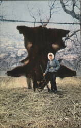 Giant Kodiak Bear Skin and Hunter Postcard