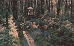Jack & Jill, Wooded Wonderland, Beaver Lake Park Postcard
