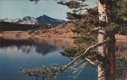 Tioga Lake, Yosemite National Park Postcard