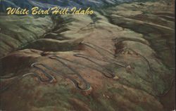 Twelve Switch Back Highway, White Bird Hill Postcard