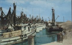 Shrimp Trawlers in Port Isabel - Brownsville Area Postcard