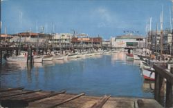 Fisherman's Wharf Harbor and Fishing Boats Postcard