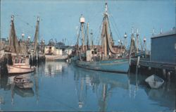 Fishing Boats in Port featuring the Barbara C. Postcard