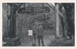 Custodian Walter Finn at Muir Woods National Monument Postcard