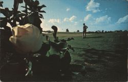 Magnolia Course at Walt Disney World Golf Club Postcard