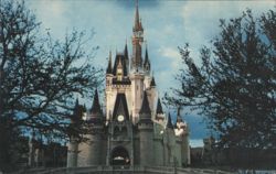 Cinderella Castle at Fantasyland, Walt Disney World Postcard