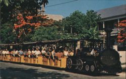 Conch Tour Train on Poinciana Lined Street Postcard