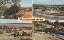 Yorkshire Moors Multi-View: Goathland & Saltersgate Postcard