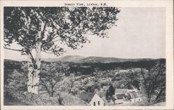Scenic View of Town and Mountains with Birch Tree Postcard