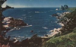 Shores of the Pacific Coastline Postcard