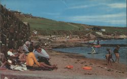 Roome Bay Beach Scene Postcard