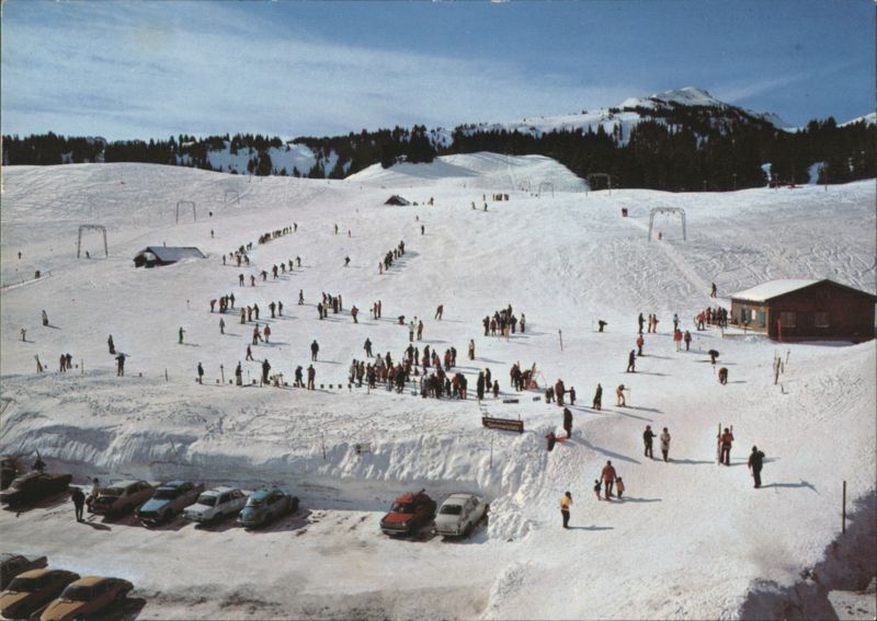 Übungsgelände auf Tannenbodenalp mit Prodchamm Flumserberge Switzerland