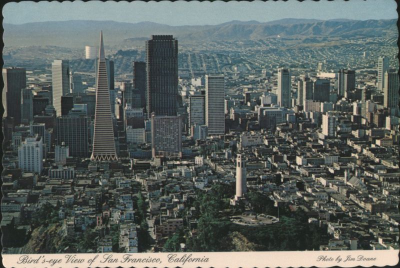 Bird's-eye View with Transamerica Pyramid & Coit Tower San Francisco California