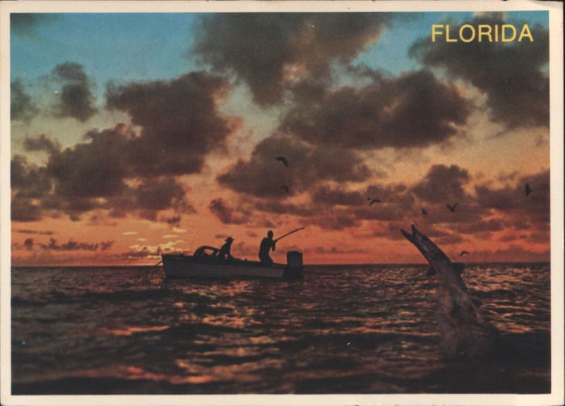 Catching a Barracuda off Florida's South Coast at Sunset