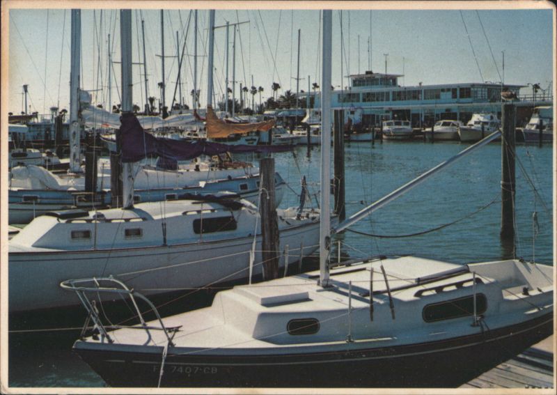 Clearwater Marina with Sailboats and U.S. Coast Guard Station Florida