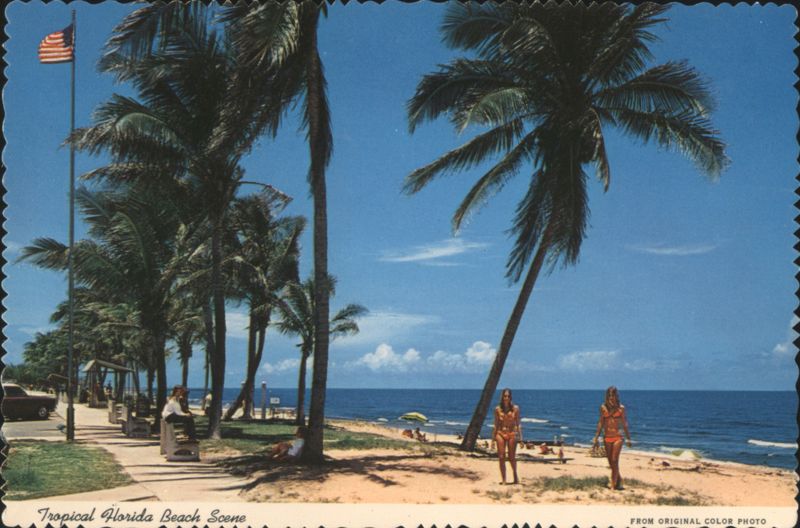 Tropical Florida Beach Scene with Palm Trees