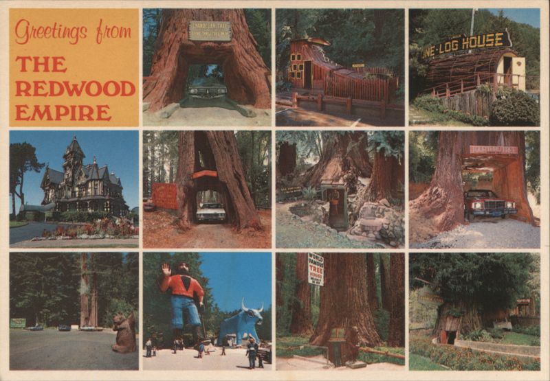 Greetings from the Redwood Empire Multi-View Attractions California