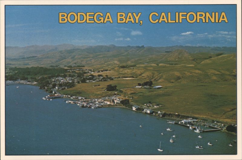 Aerial View of Harbor and Scenic Rolling Hills Bodega Bay California