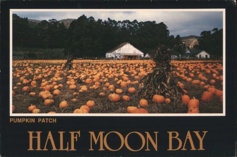 Pumpkin Patch with White Barn and Trees Half Moon Bay California