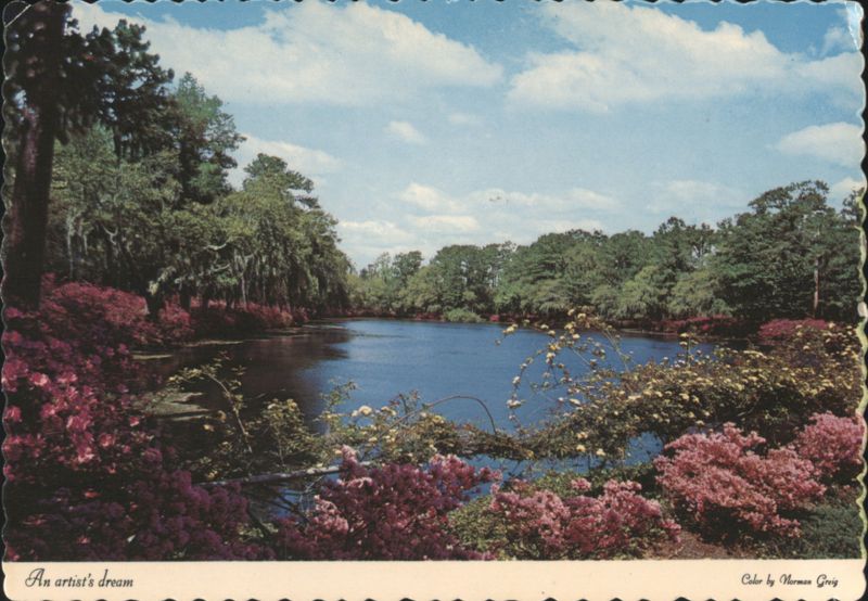 An Artist's Dream Flowering Azaleas and Cypress Trees