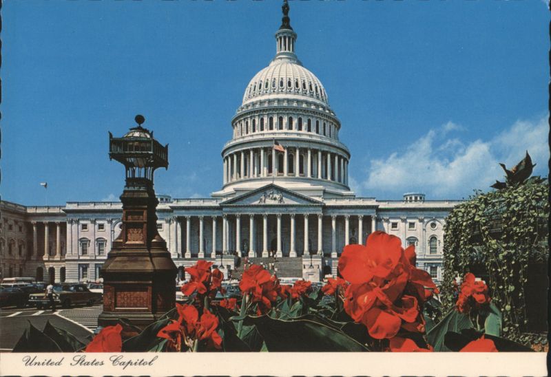 United States Capitol with Red Canna Lilies Washington District of Columbia