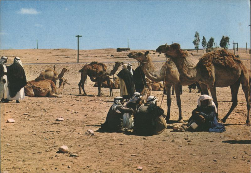 Bedouins and Camels at Beer Sheba Market Day Israel