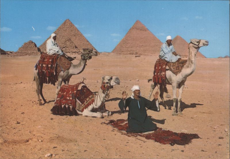 Arab Camel Riders in front of the Pyramids Giza Egypt