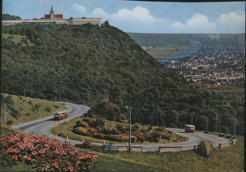 Höhenstrasse Overlook with Panoramic View of Vienna Austria