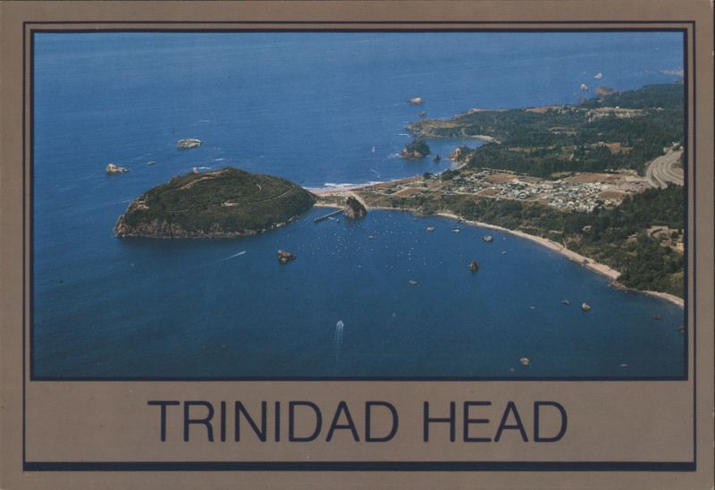 Aerial View of Trinidad Head and Harbor California