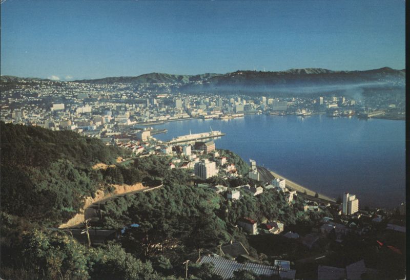 Wellington Harbour from Mt. Victoria Slopes New Zealand